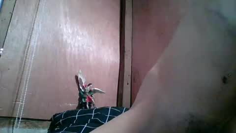 kim online show from February 10, 2026, 10:47 pm