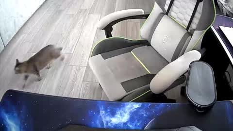 Vonn online show from October 21, 2025, 6:47 am