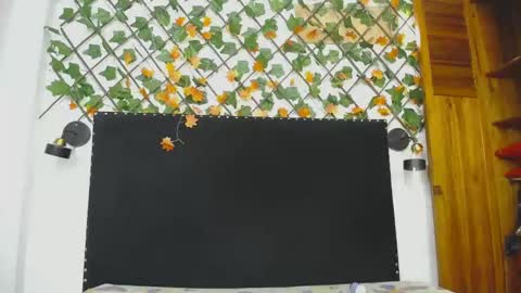 Snapshot of vskayper chatting on April 28, 2026, 2:55 pm skay online show from April 28, 2026, 2:55 pm