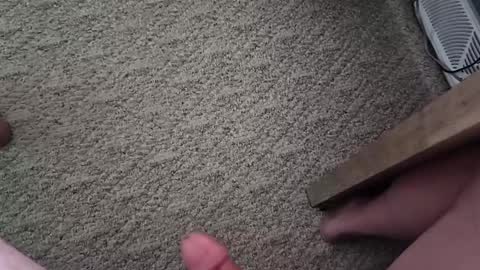 vtxrider77 online show from October 1, 2025, 3:40 pm