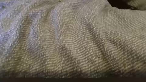 hung boy online show from February 1, 2025, 2:34 pm