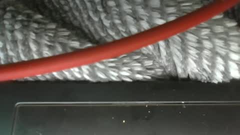 hung boy online show from March 12, 2025, 3:57 am