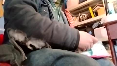 waffywaff77 online show from January 12, 2025, 11:58 pm