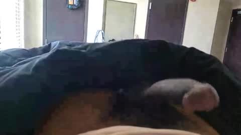 Snapshot of walttherealone chatting on July 16, 2026, 2:34 pm walttherealone online show from July 16, 2026, 2:34 pm