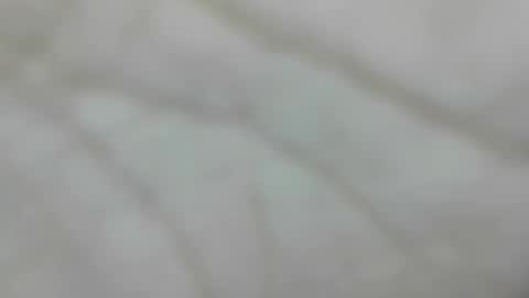 wangi_wangi online show from January 10, 2026, 4:31 pm