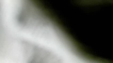 Snapshot of wangi_wangi chatting on February 18, 2026, 6:48 pm wangi_wangi online show from February 18, 2026, 6:48 pm