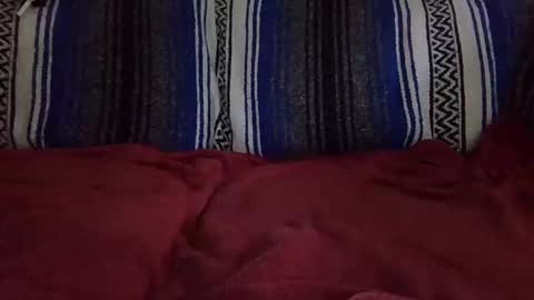 Snapshot of warishcow chatting on December 11, 2024, 12:02 am Warishcow online show from December 11, 2024, 12:02 am