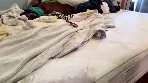 watershed111111 online show from February 26, 2026, 6:40 pm