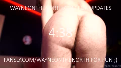 Snapshot of waynenorth chatting on February 4, 2026, 4:24 pm waynenorth online show from February 4, 2026, 4:24 pm