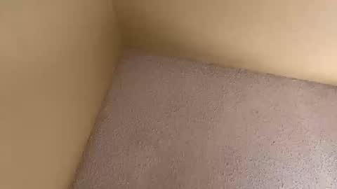 webbbjane333 online show from November 3, 2025, 5:58 pm