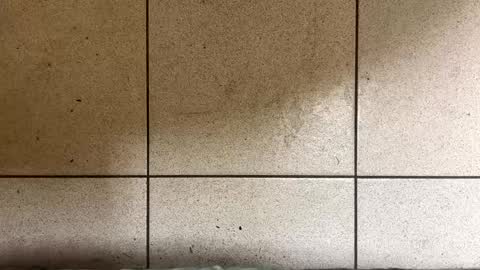 webchatter99 online show from January 2, 2025, 7:33 am