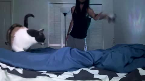 weedwacker43 online show from December 26, 2024, 7:03 am