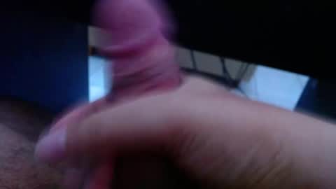 wellingtont online show from March 25, 2026, 2:17 am