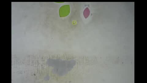 Bella online show from November 14, 2025, 12:53 am