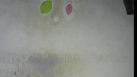 Snapshot of wet_pussy200 chatting on February 6, 2026, 9:29 pm Bella online show from February 6, 2026, 9:29 pm