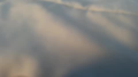 whatever_i_have_to_do online show from March 13, 2026, 5:08 pm