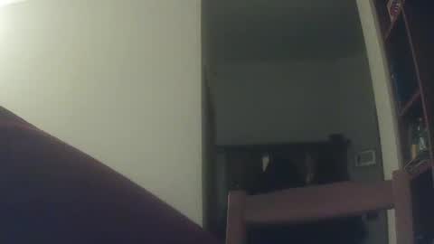 Snapshot of whiteduke81 chatting on December 6, 2024, 6:17 pm Whiteduke online show from December 6, 2024, 6:17 pm