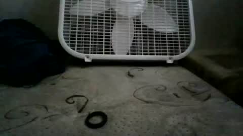 Snapshot of whiteexcalibur808 chatting on May 13, 2026, 7:11 pm whiteexcalibur808 online show from May 13, 2026, 7:11 pm