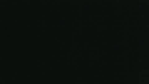 whitehead_lion online show from October 26, 2025, 5:52 pm