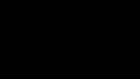 WhoDat online show from March 26, 2026, 8:53 am