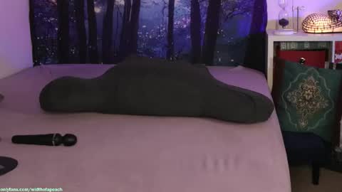 Snapshot of widthofapeach chatting on February 3, 2026, 2:53 am Gretchen Jimmy online show from February 3, 2026, 2:53 am