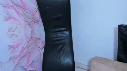 Snapshot of wild_revenge chatting on December 14, 2024, 5:29 am Camila - Boy Ronaldo MOD JEISON online show from December 14, 2024, 5:29 am