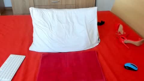 Snapshot of wildallisa chatting on March 4, 2025, 1:45 am Alissa online show from March 4, 2025, 1:45 am