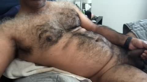 Snapshot of wildhungry chatting on June 1, 2026, 4:52 pm wildhungry online show from June 1, 2026, 4:52 pm