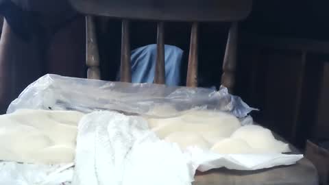 Snapshot of wildman6 chatting on January 26, 2025, 8:34 pm wildman6 online show from January 26, 2025, 8:34 pm