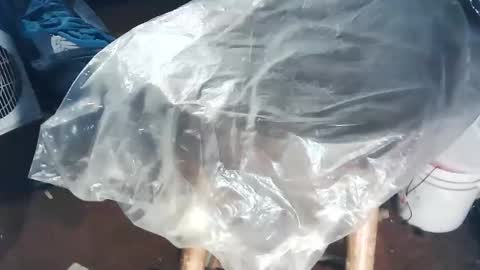 Snapshot of wildman6 chatting on November 2, 2025, 8:44 pm wildman6 online show from November 2, 2025, 8:44 pm