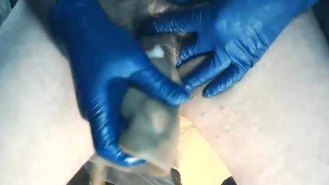 wildman6 online show from November 7, 2025, 8:20 pm