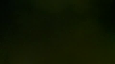 Snapshot of wildpersia chatting on March 8, 2025, 9:08 pm WildPersia online show from March 8, 2025, 9:08 pm