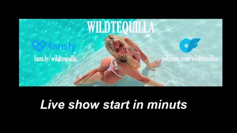 Snapshot of wildtequilla chatting on August 3, 2026, 6:44 pm Lili online show from August 3, 2026, 6:44 pm