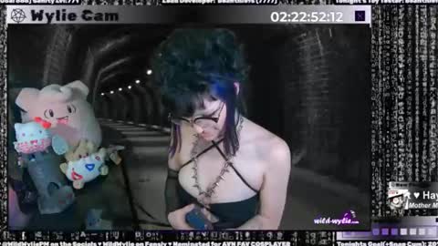 Snapshot of wildwylie chatting on January 15, 2025, 4:57 am Wylie Wanderlust online show from January 15, 2025, 4:57 am