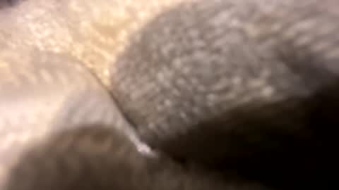 Snapshot of wiley0520 chatting on October 27, 2025, 11:36 am wiley0520 online show from October 27, 2025, 11:36 am