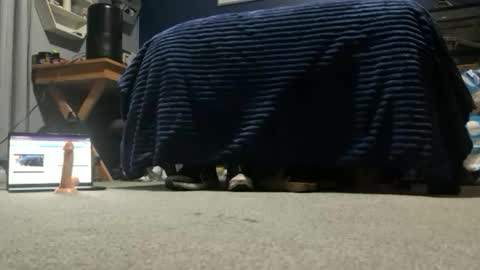 Snapshot of williambisexual chatting on December 22, 2025, 12:40 am williambisexual online show from December 22, 2025, 12:40 am