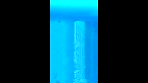 willielowrider online show from February 18, 2026, 3:08 pm