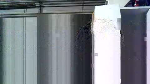 willielowrider online show from March 10, 2026, 8:41 am