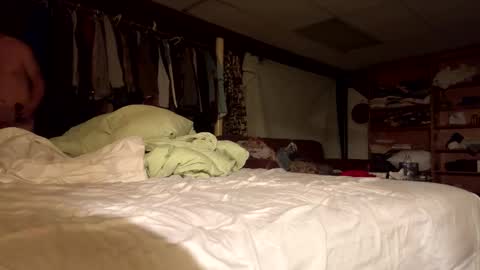 willy_dirk online show from November 8, 2025, 10:04 am