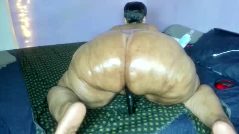 wilmaassylum online show from December 18, 2025, 6:19 am