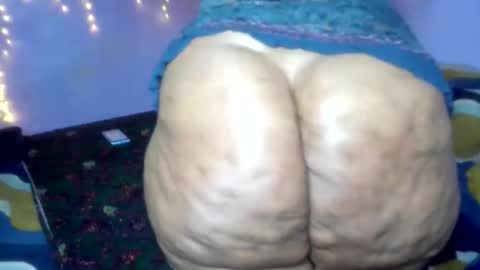 wilmaassylum online show from January 13, 2026, 5:13 am