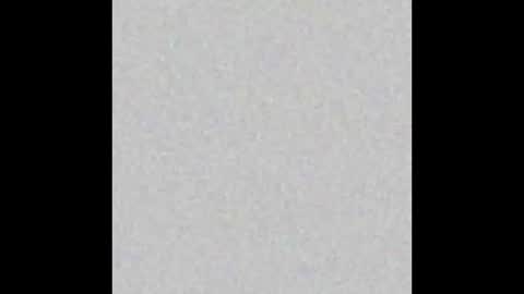 wilmot69noah online show from February 19, 2025, 11:49 am