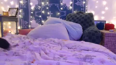 Eevie online show from December 19, 2024, 6:23 am