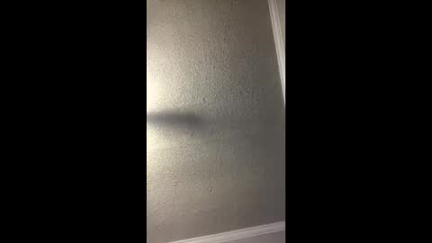 Snapshot of woodpipe69 chatting on December 23, 2024, 3:01 pm Woodpipe69 online show from December 23, 2024, 3:01 pm