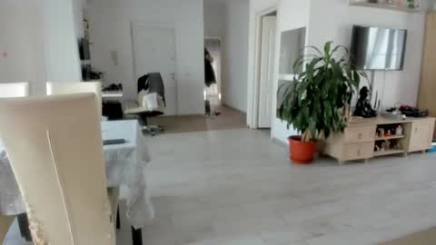 Snapshot of woolfiie chatting on November 25, 2025, 8:47 am Wolfie online show from November 25, 2025, 8:47 am