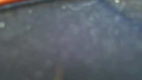 wrangleat0r online show from January 28, 2025, 11:50 pm