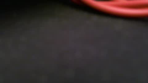 wrangleat0r online show from February 10, 2026, 12:15 am