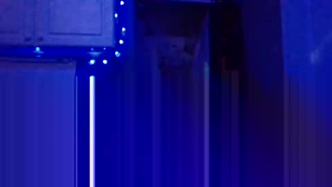 BONER DONOR online show from January 5, 2025, 7:28 pm