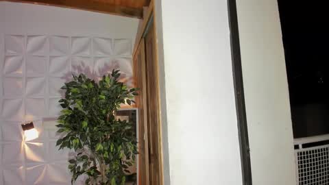 Snapshot of wyatt_rose chatting on November 14, 2025, 3:27 am wyatt online show from November 14, 2025, 3:27 am