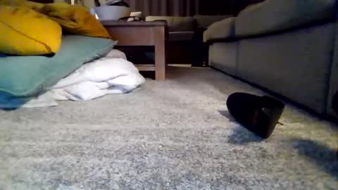 wyndir online show from November 15, 2025, 7:32 pm